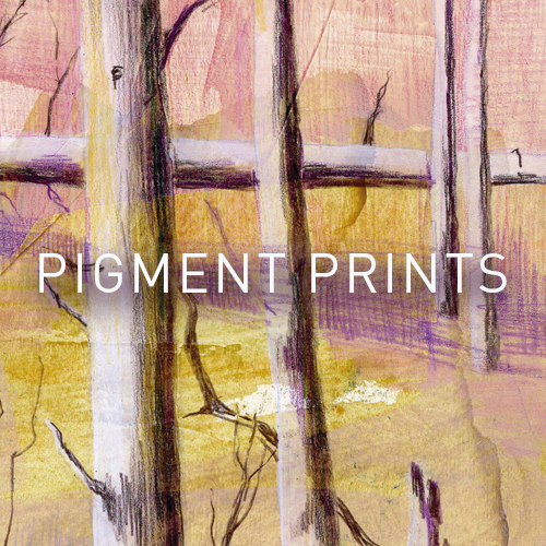 Buntstiftzeichnung in gelb violett und rosa mit abgestorbenen Bäumen mit dem Hinweis auf Pigment Drucke